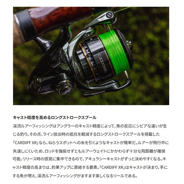 23カーディフXR